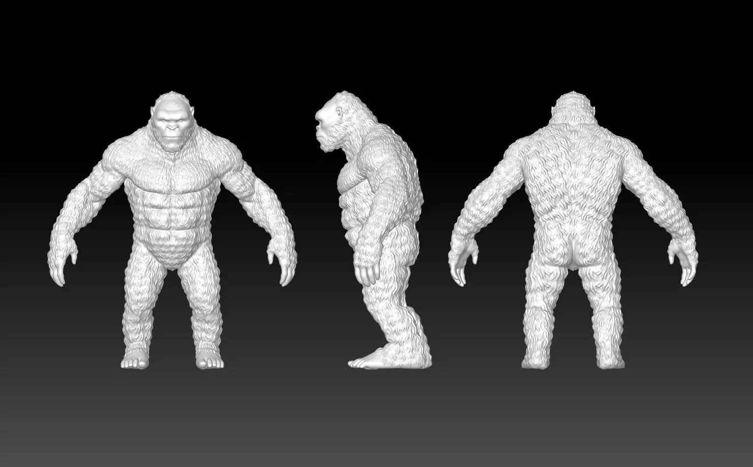 Monkeyfur 3D print model_0
