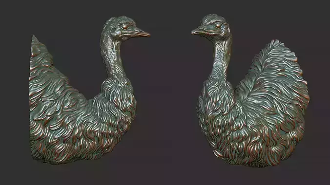 Emu ostrich bust 3D print model