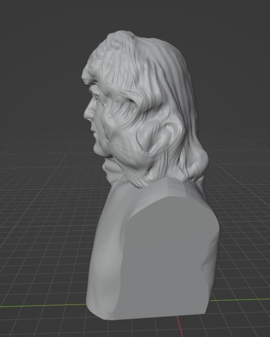 Jimmy Page 3D print model_1