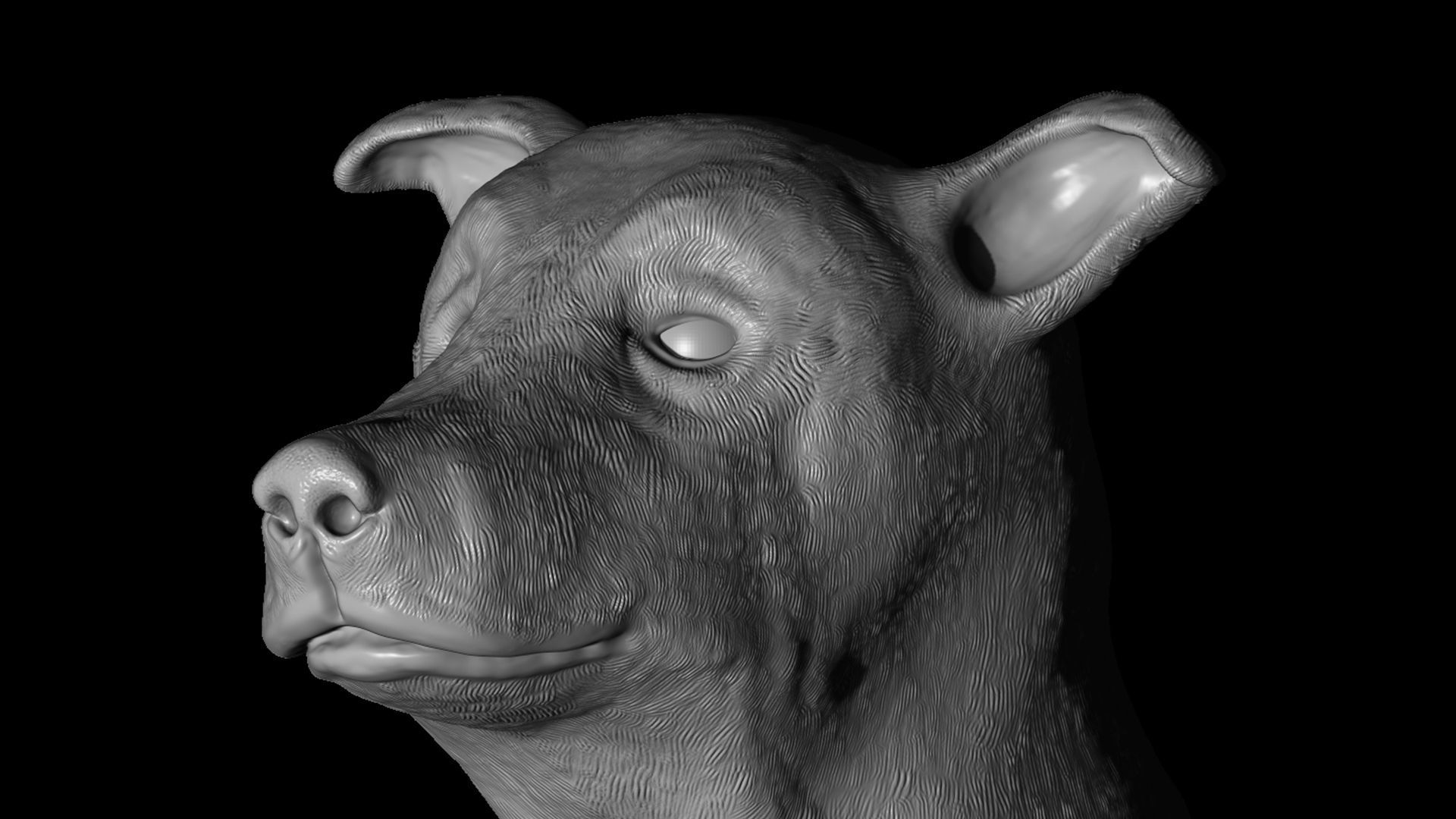 Cute Dog 3D print model_7