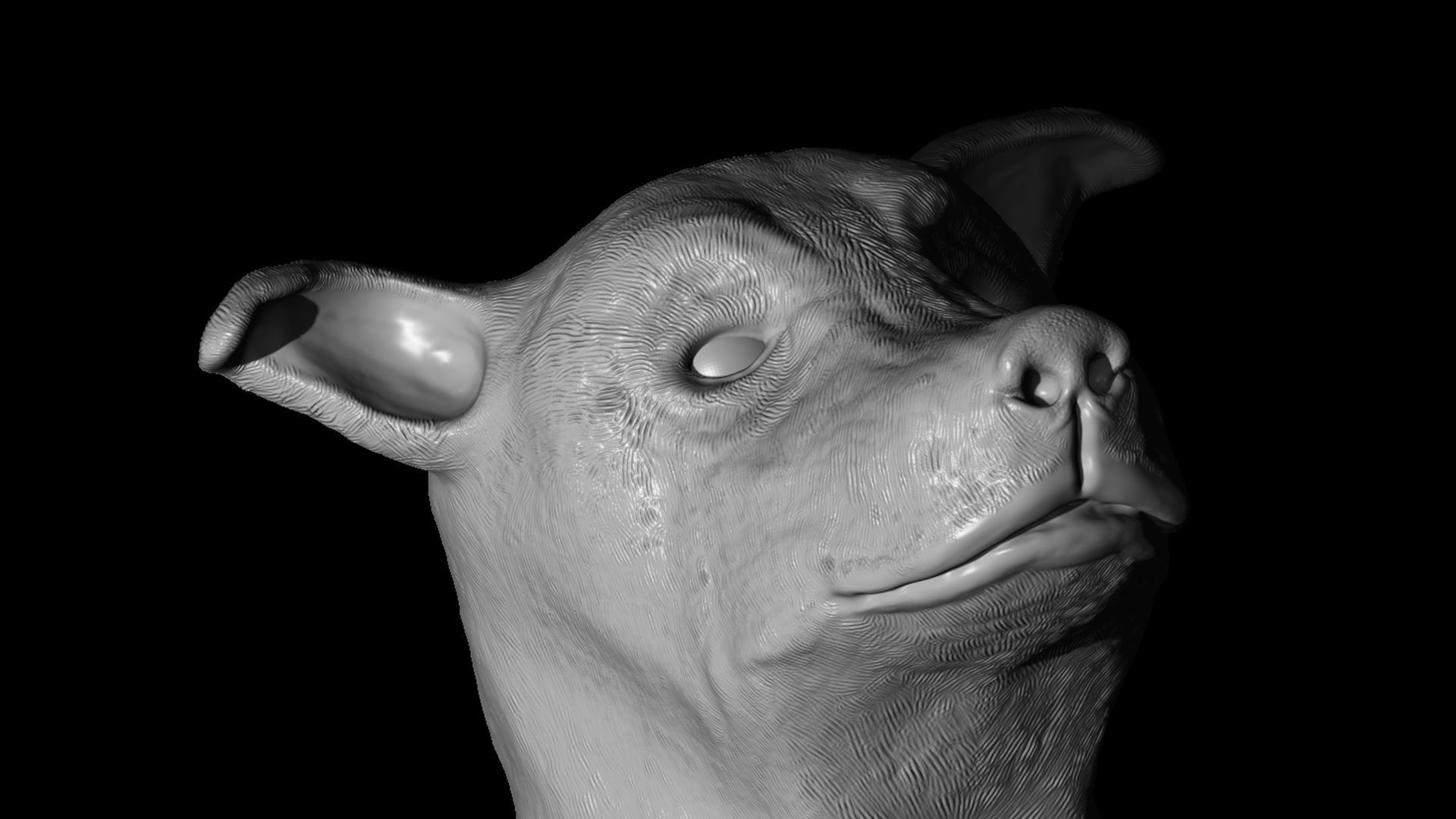 Cute Dog 3D print model_8