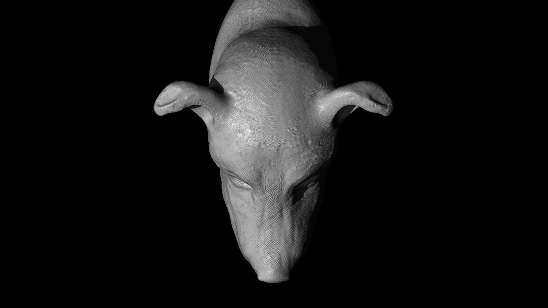 Cute Dog 3D print model_5