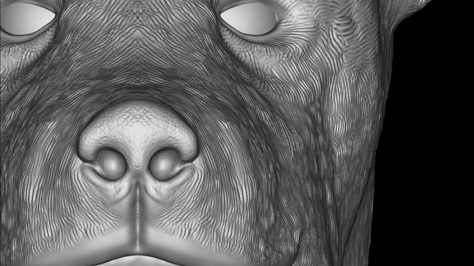 Cute Dog 3D print model_10