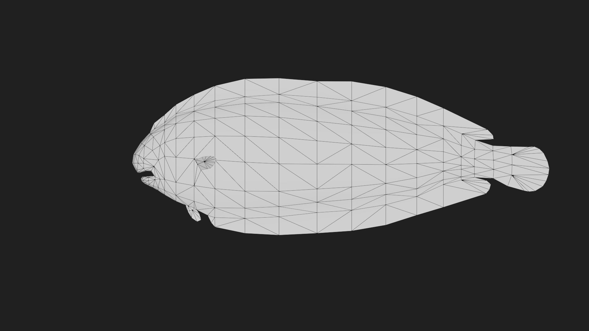 Flatfish Low-poly 3D model_3