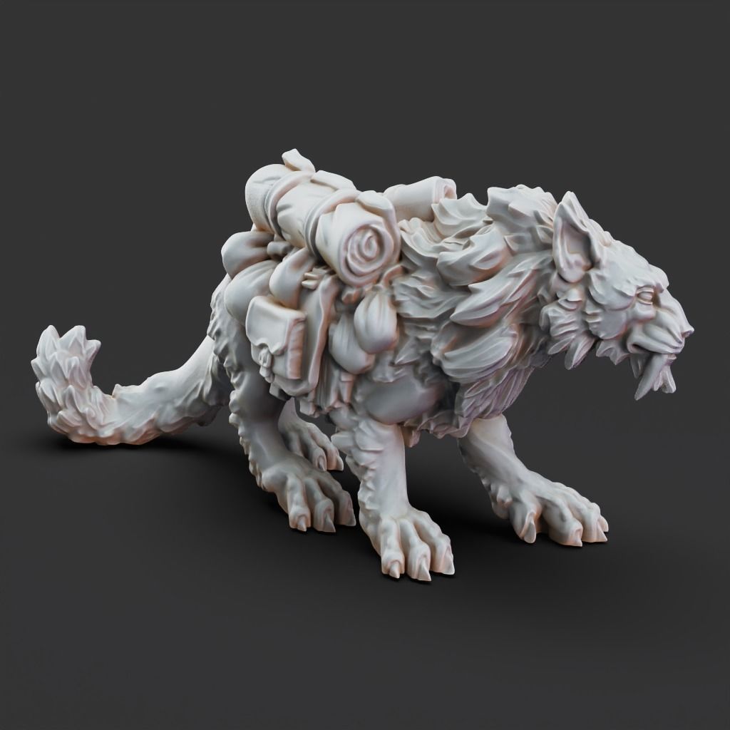 Trader and Cats - 3D Printable TTRPG - PRESUPPORTED - 32mm 3D print model_12