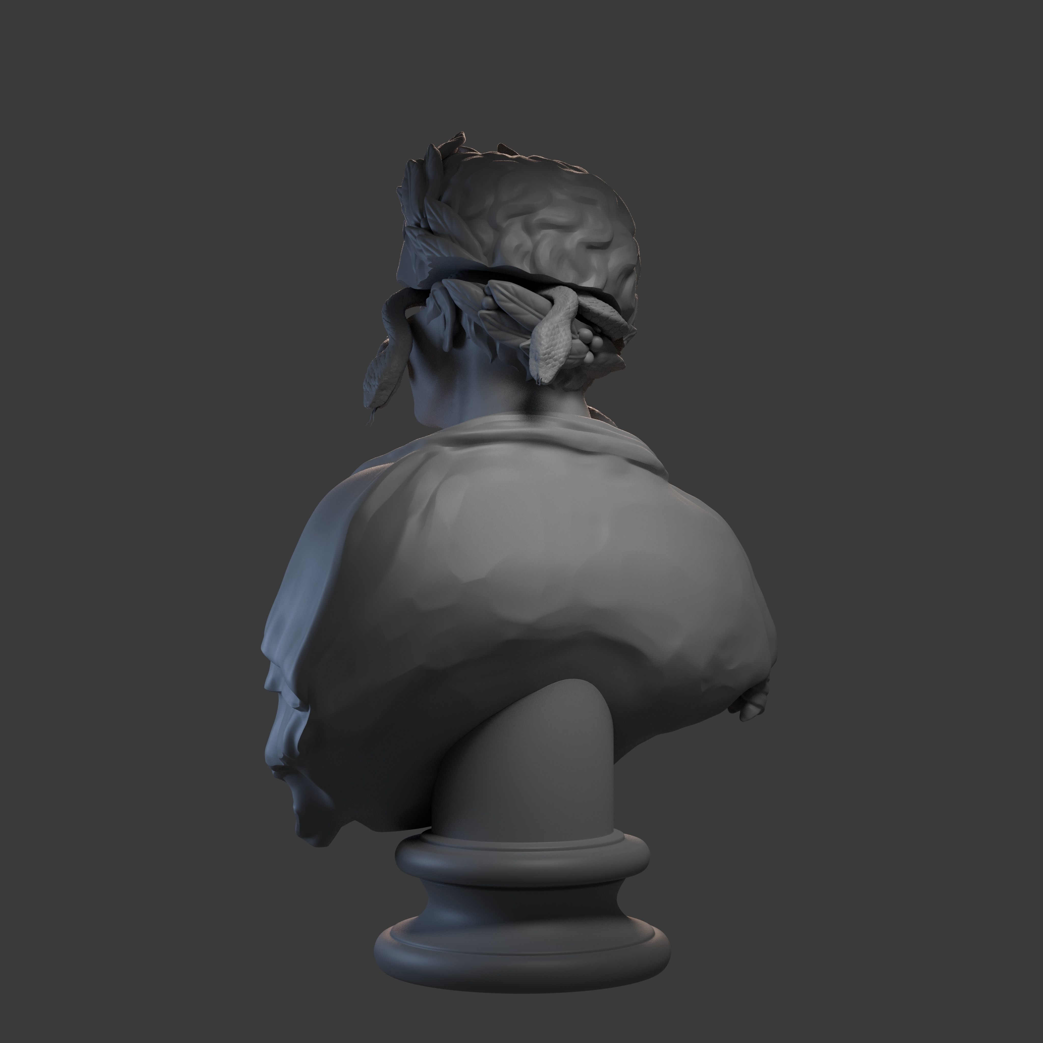 Caesar Augustus Printable Bust 3D print model_9