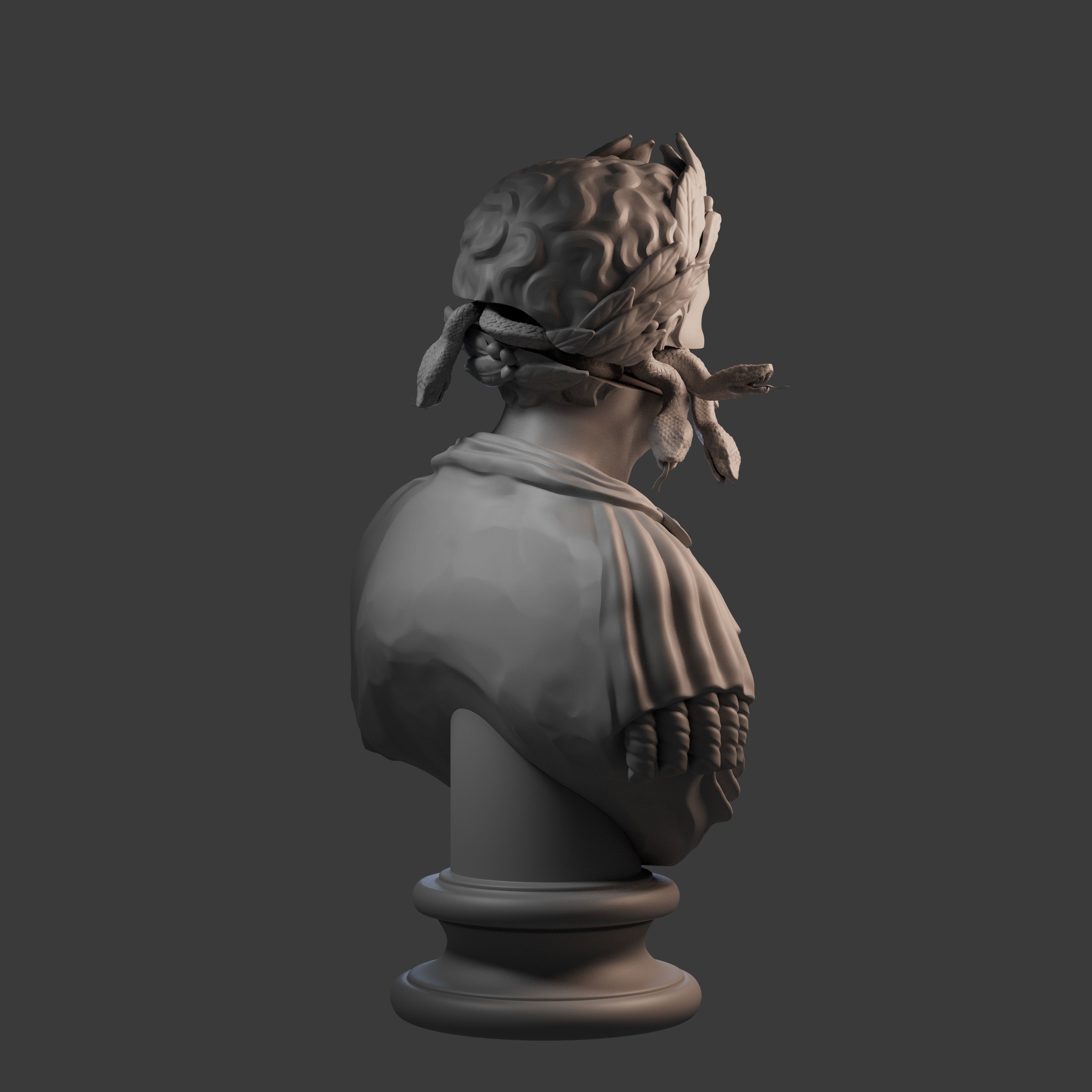 Caesar Augustus Printable Bust 3D print model_11