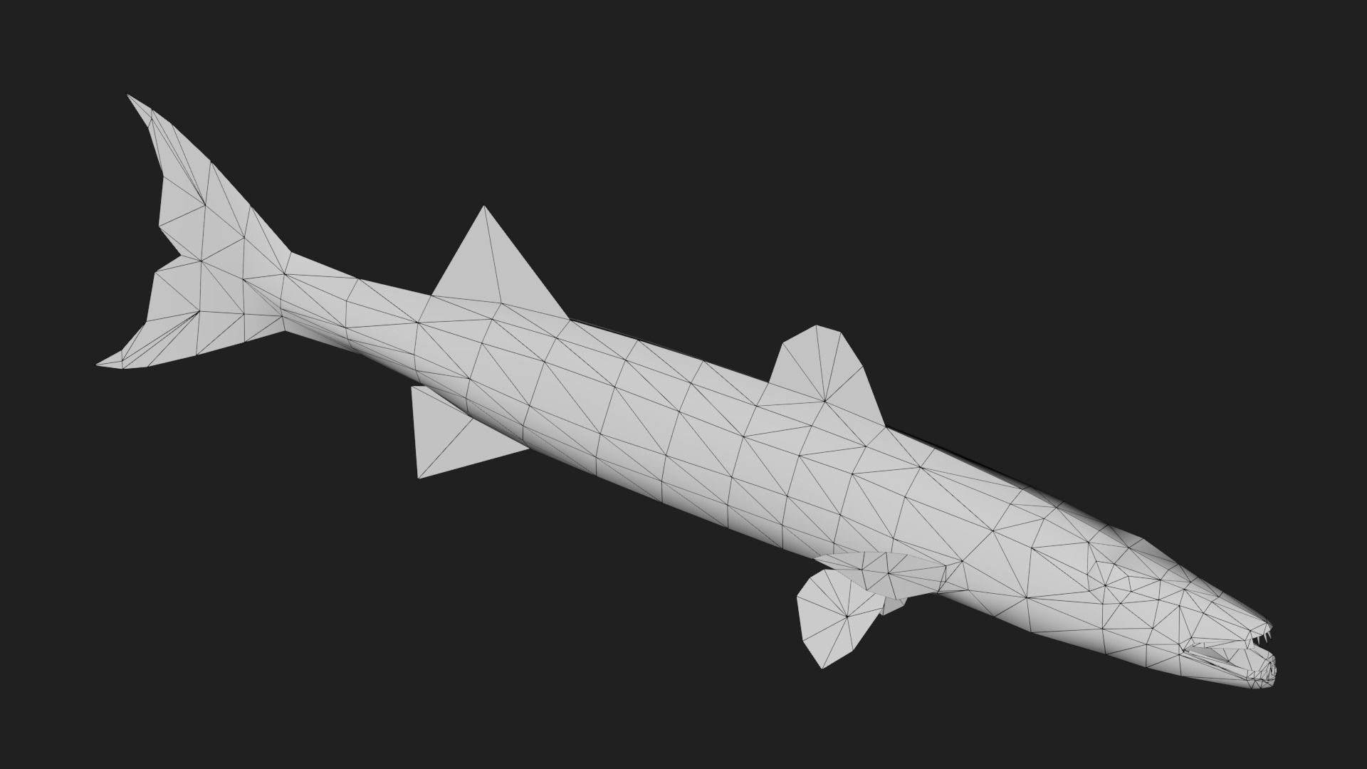 Barracuda Low-poly 3D model_3