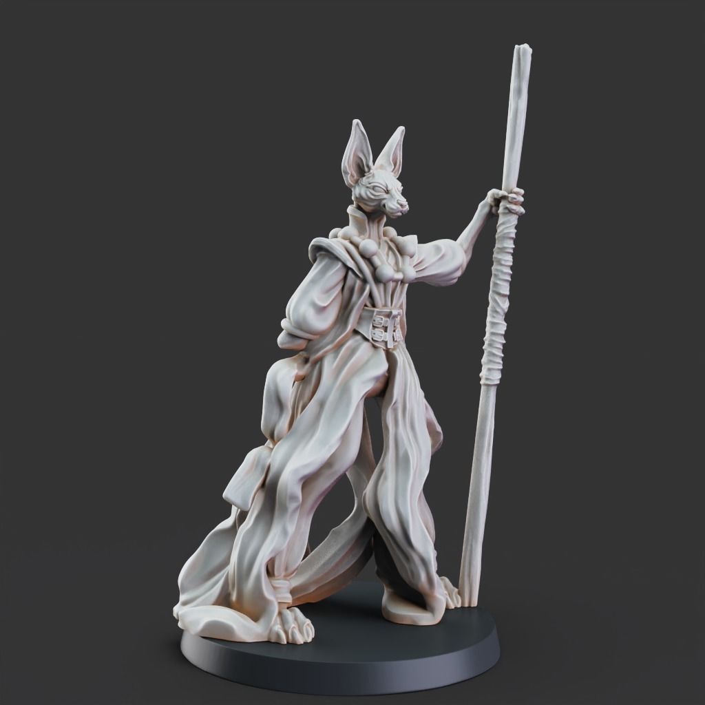 Monk - 3D Printable TTRPG - PRESUPPORTED - 32mm Scale 3D print model_8