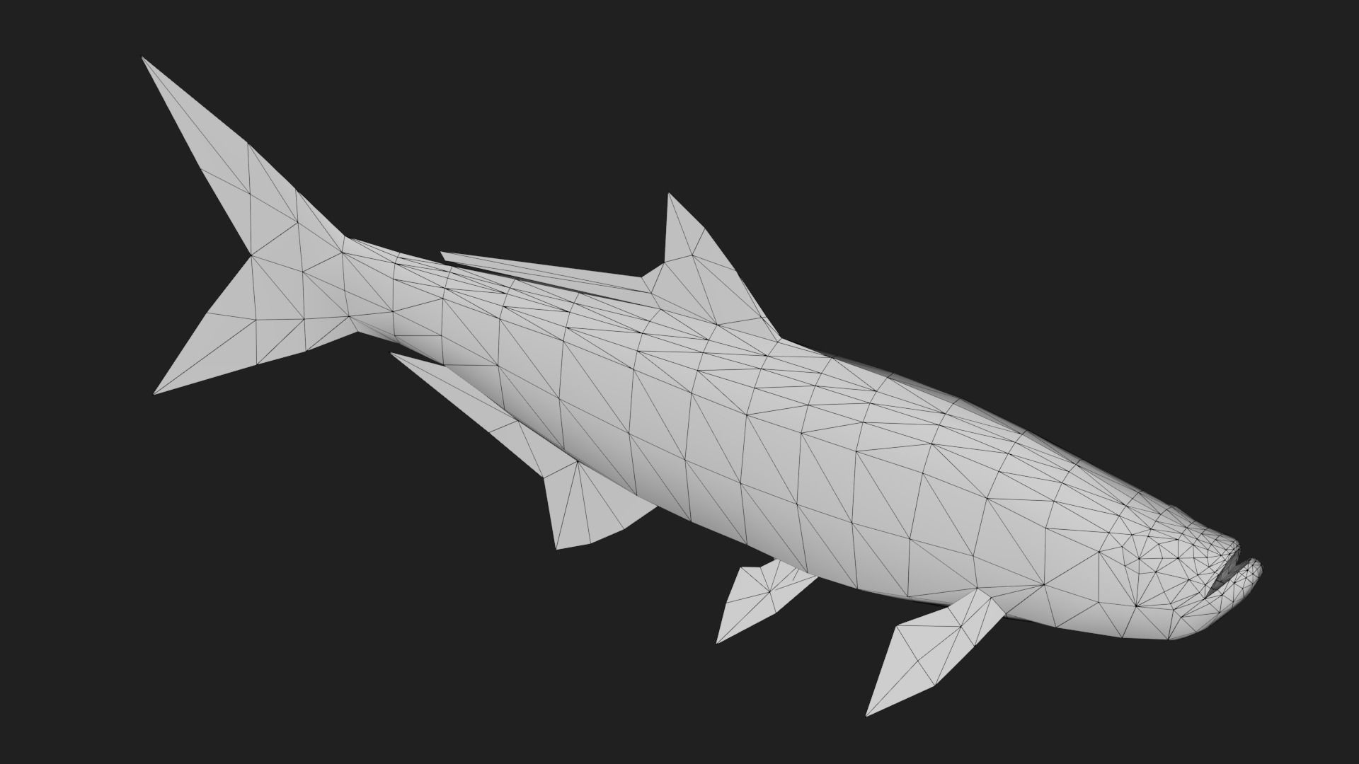 Tarpon Low-poly 3D model_3