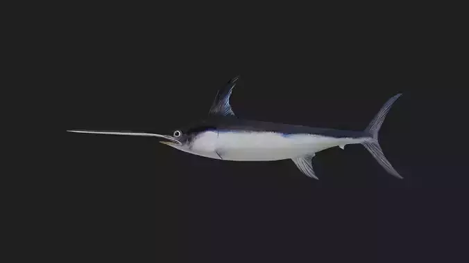 Swordfish Low-poly 3D model