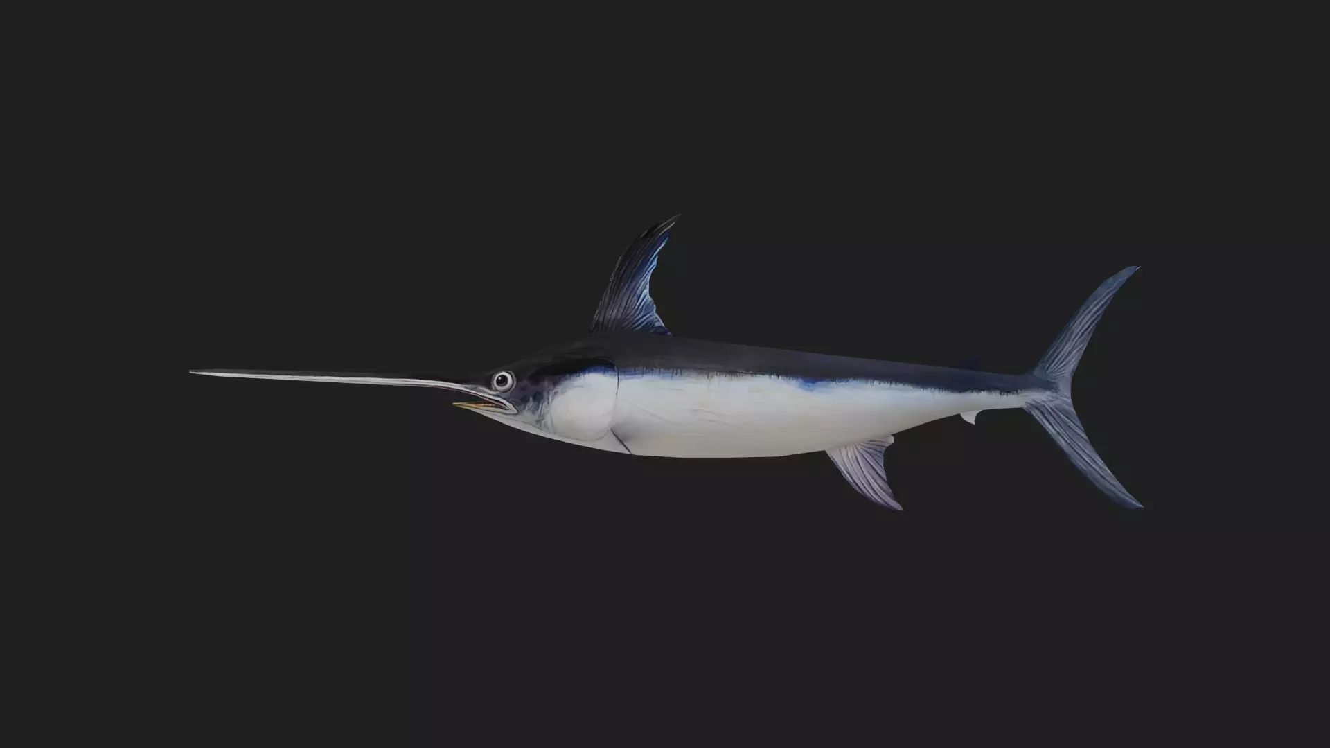Swordfish Low-poly 3D model_0