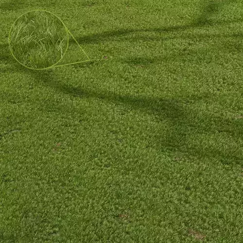 Grass Beautiful Green Lawn Relaxation 3D model