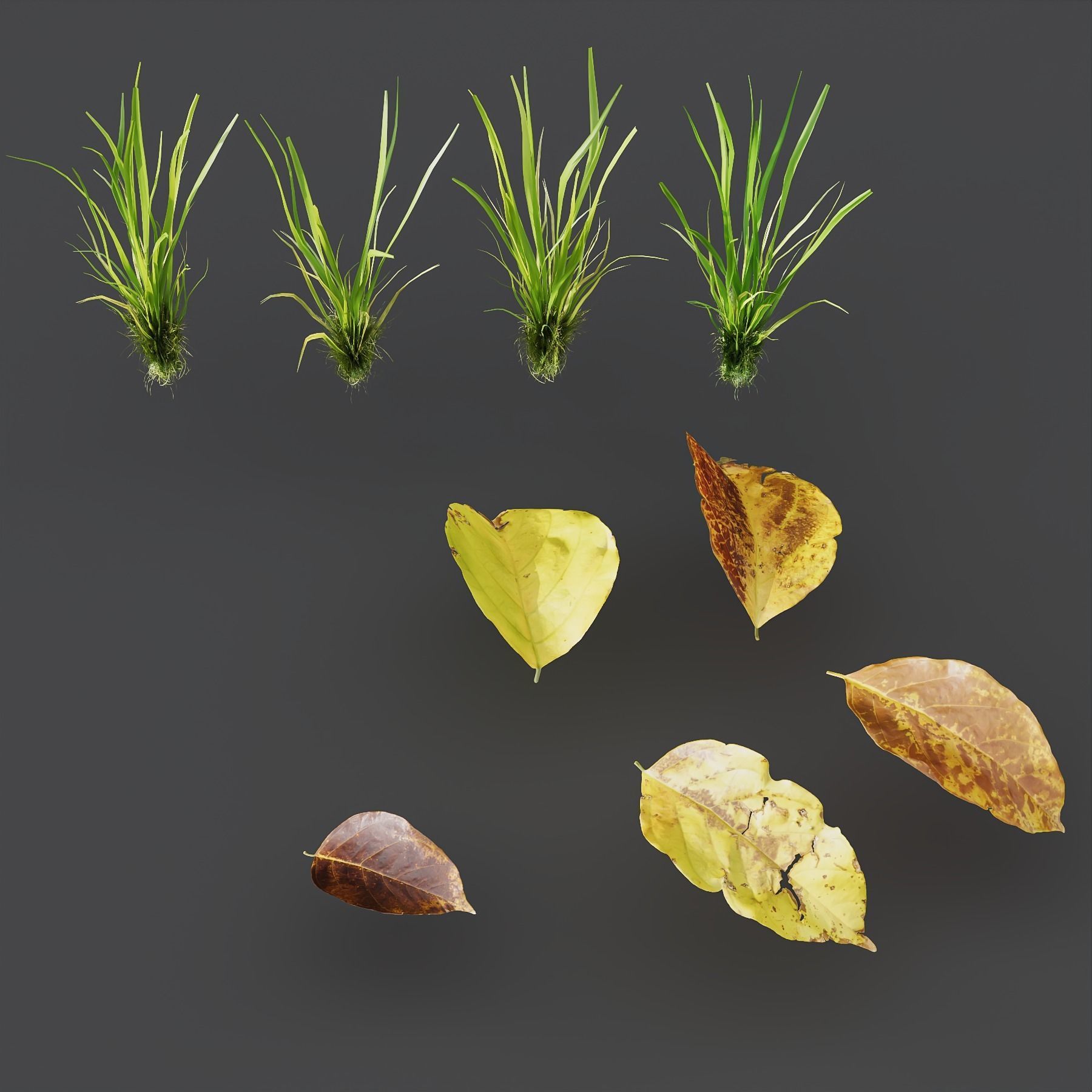 Grass Rocky Park Summer 3D model_2