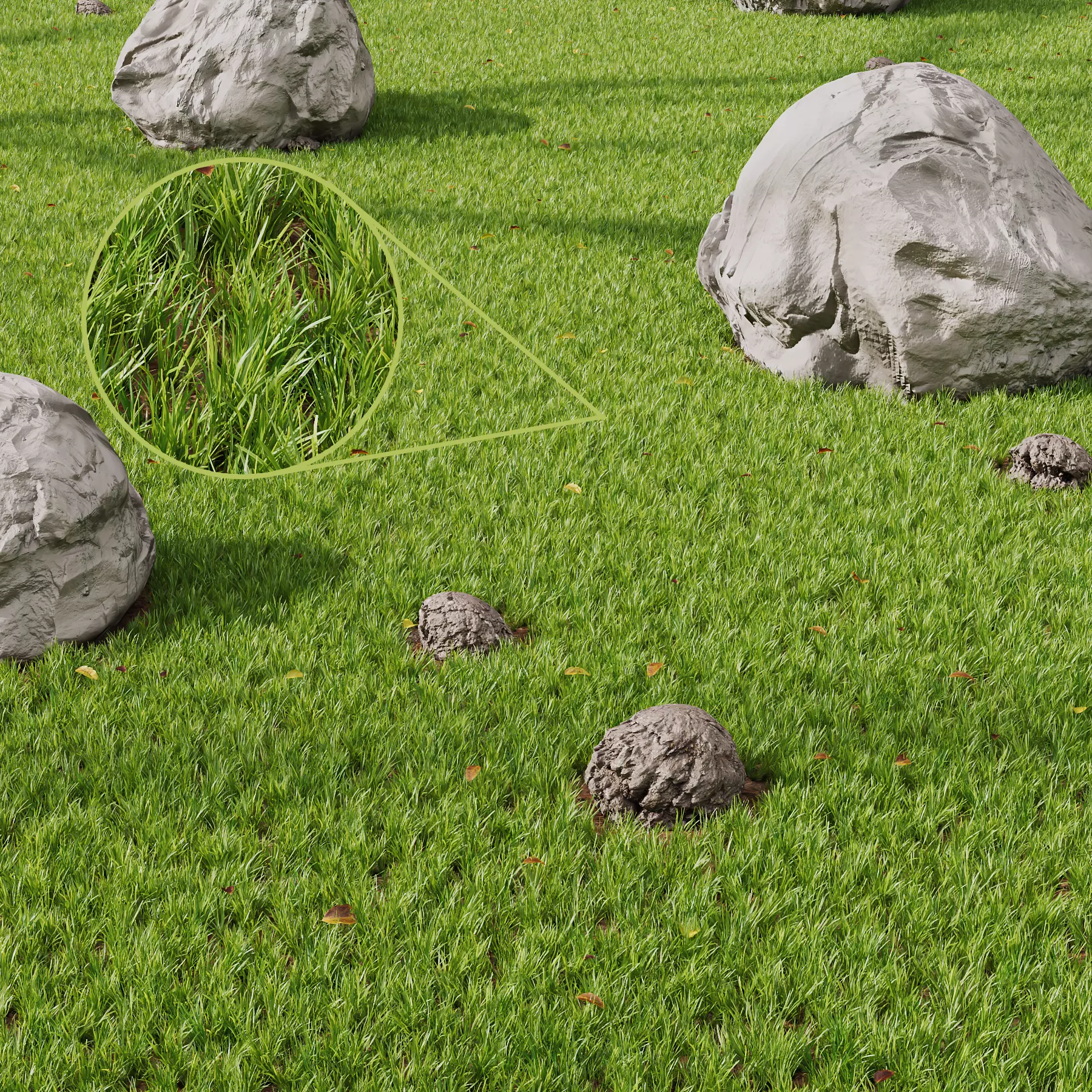 Grass Rocky Park Summer 3D model_0