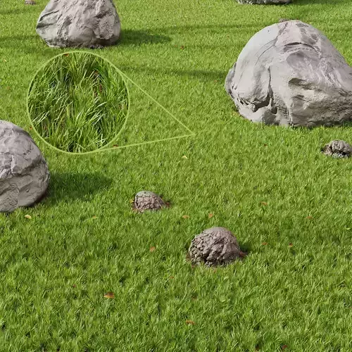 Grass Rocky Park Summer 3D model
