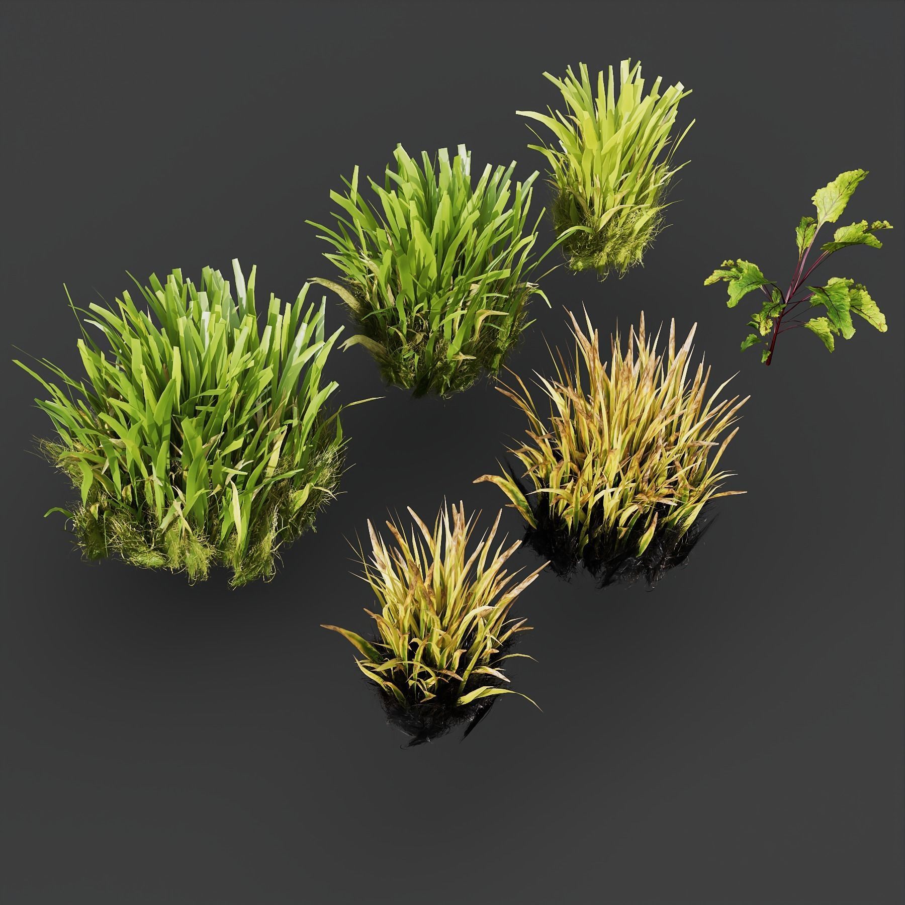 Grass Stone Path Walk Run Garden 3D model_2