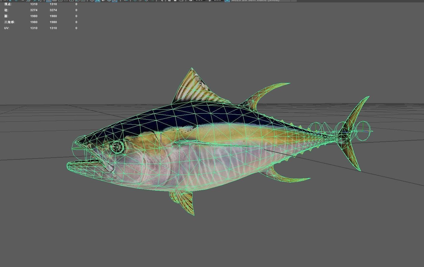 Yellowfintuna Low-poly 3D model_2