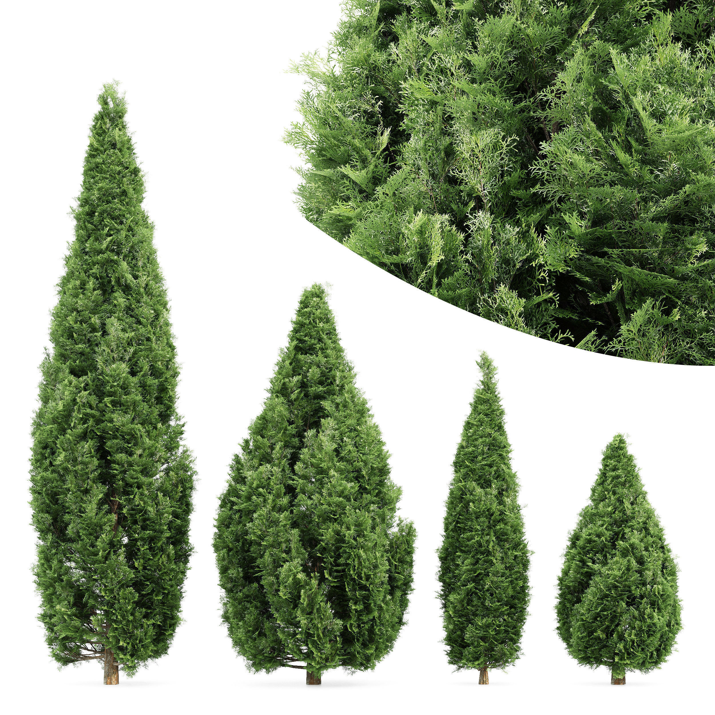 9 Different SETS of Bush Tree  SET VOL01 3D Model Collection_4