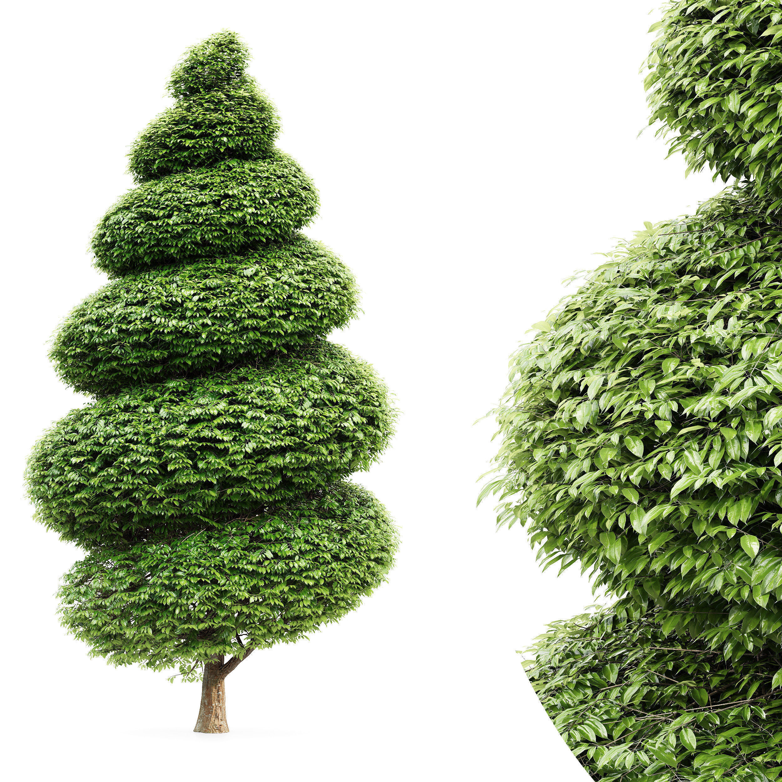 9 Different SETS of Bush Tree  SET VOL01 3D Model Collection_12