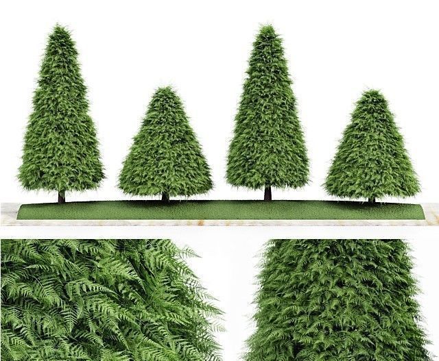 9 Different SETS of Bush Tree  SET VOL01 3D Model Collection_7