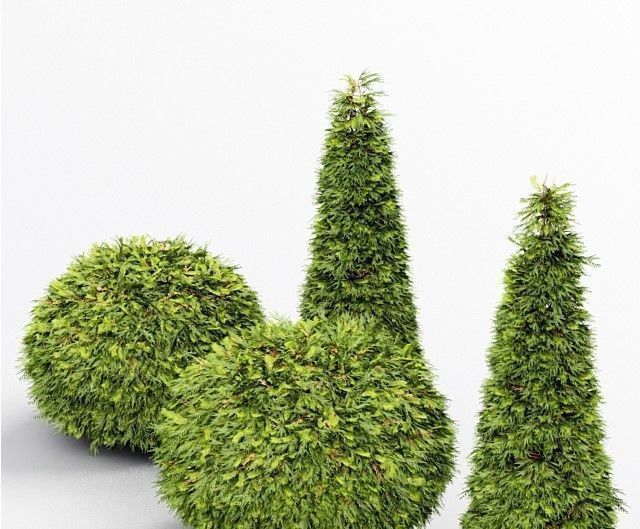 9 Different SETS of Bush Tree  SET VOL01 3D Model Collection_9