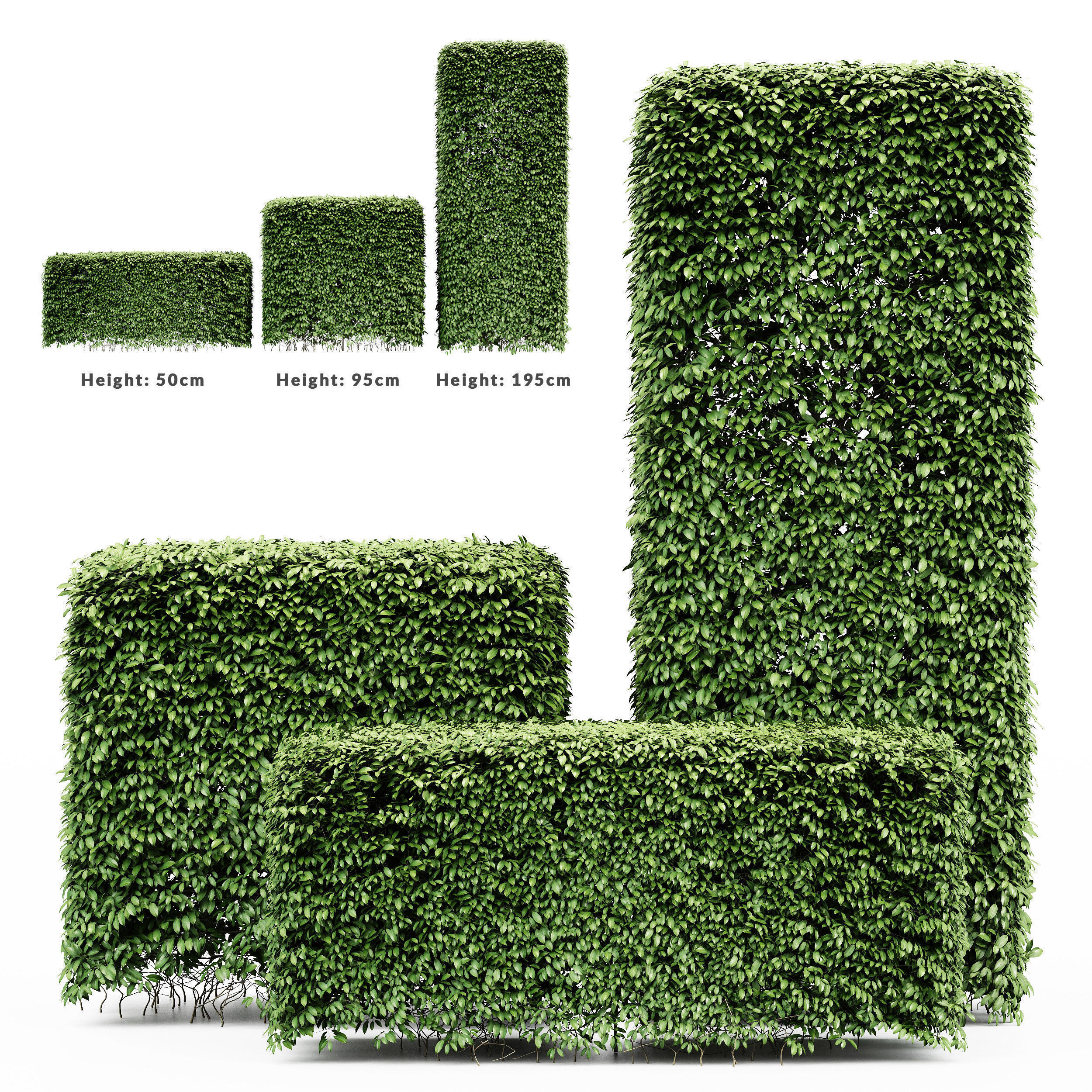 9 Different SETS of Bush Tree  SET VOL01 3D Model Collection_3