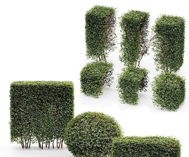9 Different SETS of Bush Tree  SET VOL01 3D Model Collection_8