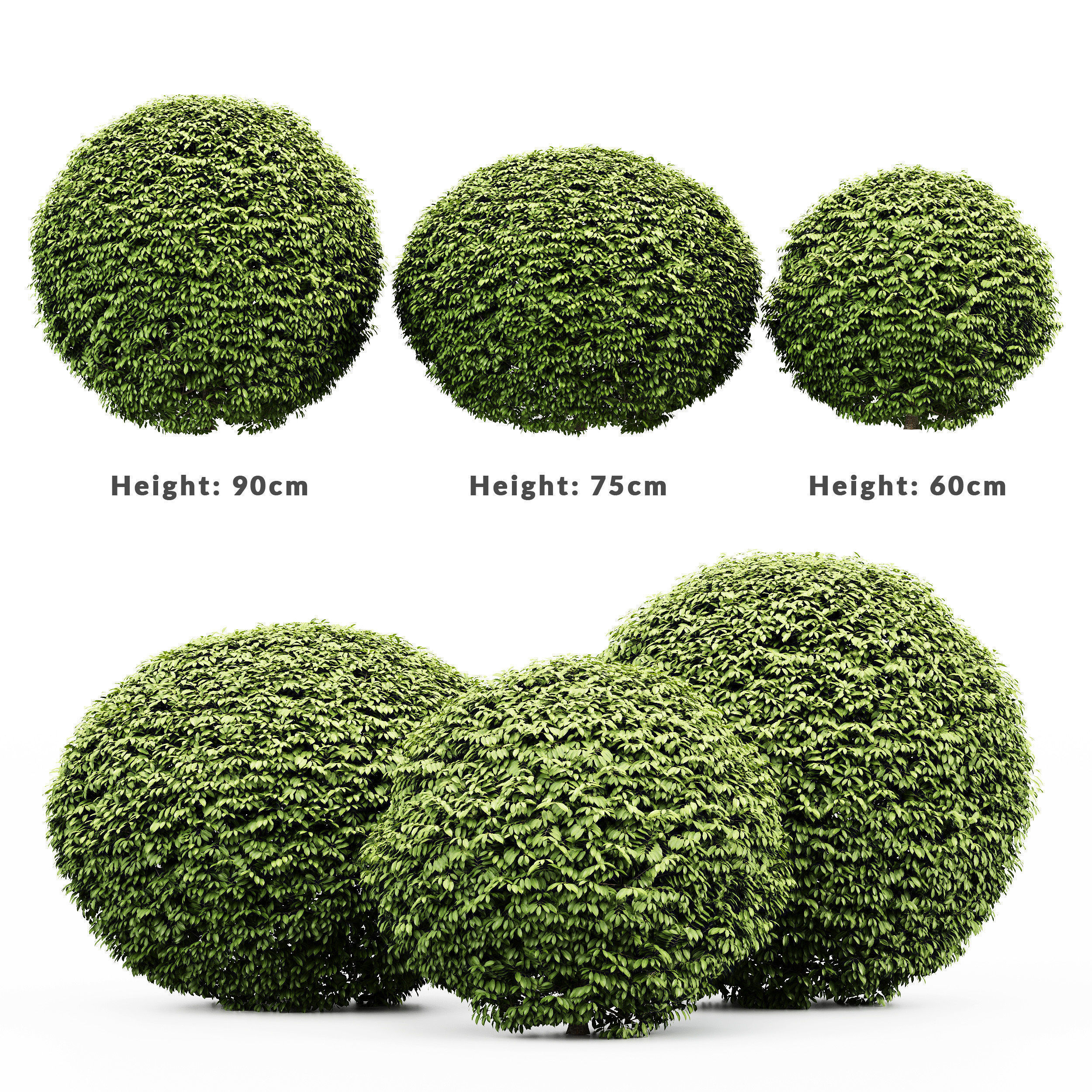 9 Different SETS of Bush Tree  SET VOL01 3D Model Collection_10
