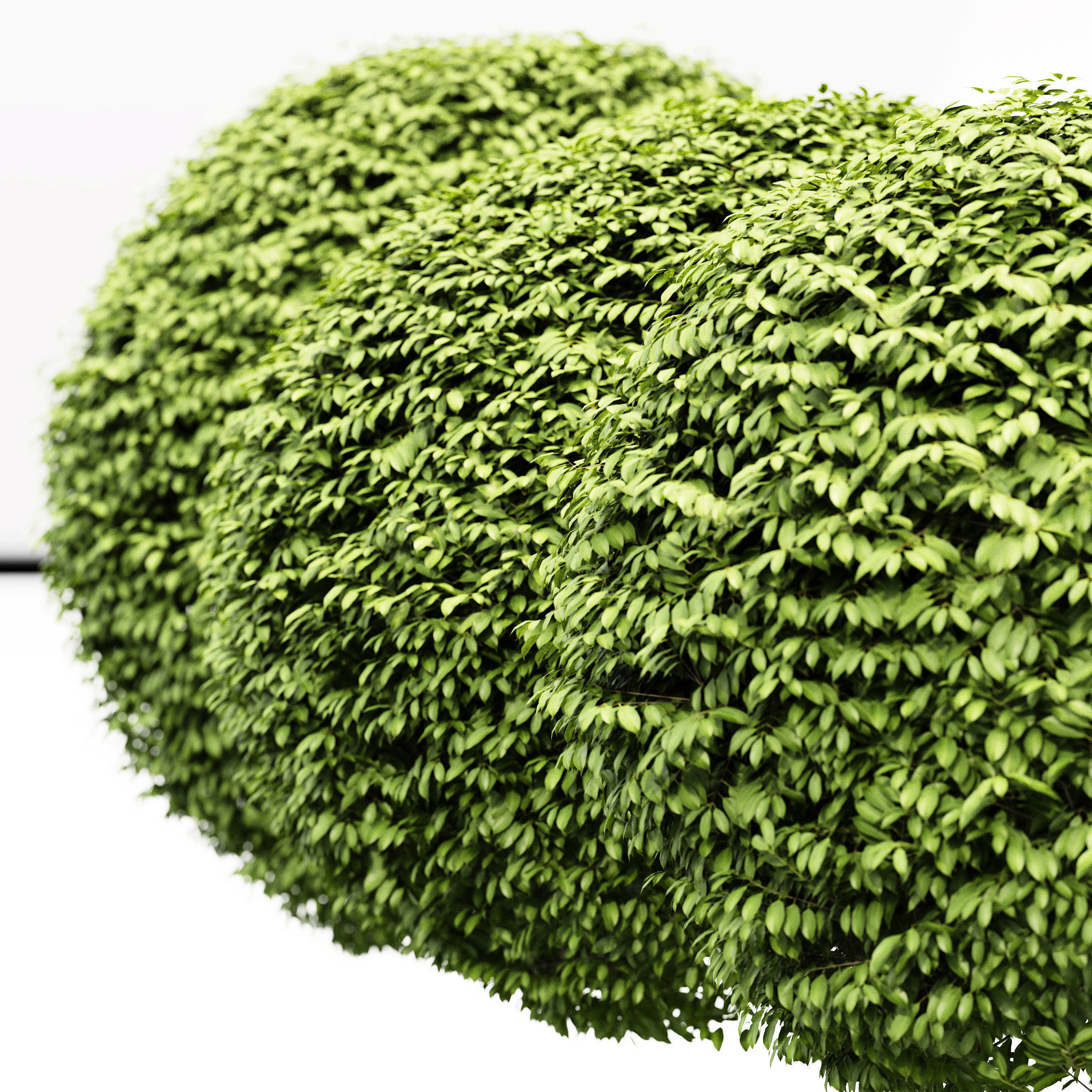 9 Different SETS of Bush Tree  SET VOL01 3D Model Collection_14