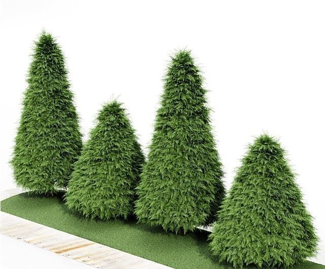 9 Different SETS of Bush Tree  SET VOL01 3D Model Collection_6