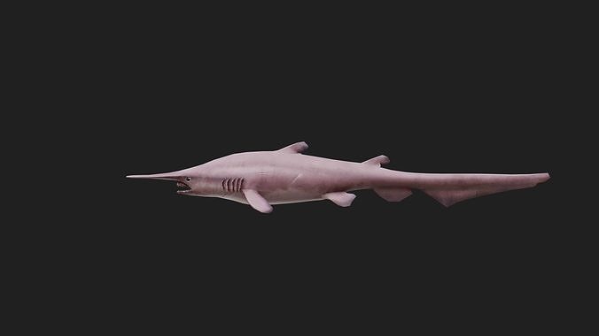 Goblinshark Low-poly 3D model