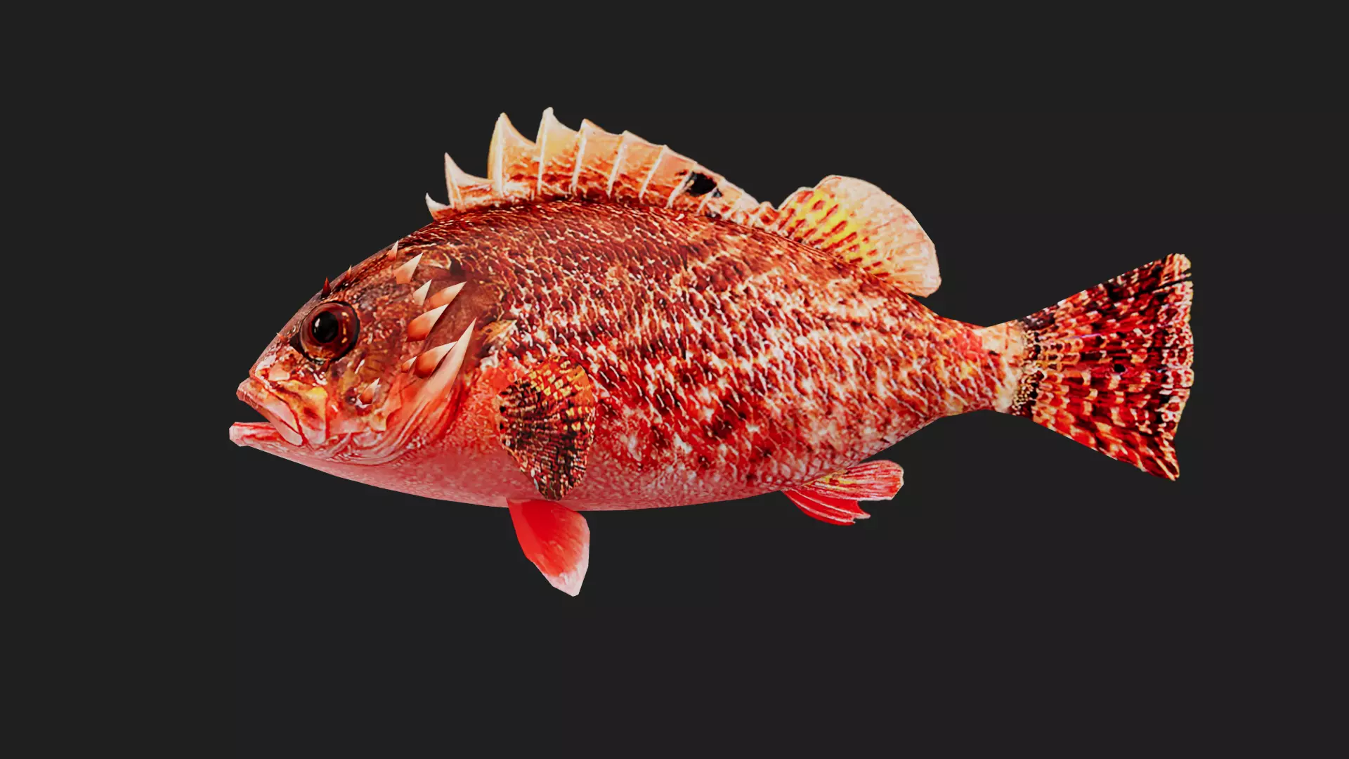 Scorpionfish Low-poly 3D model_0