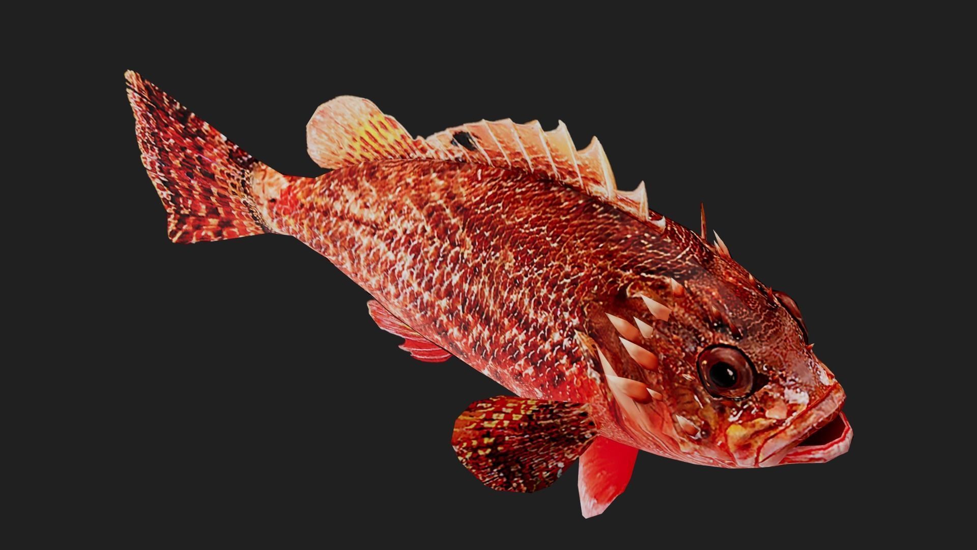 Scorpionfish Low-poly 3D model_2