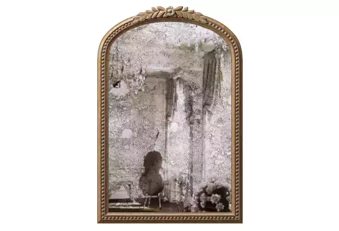 Mango Wood Carved Floral Vanity Mirror