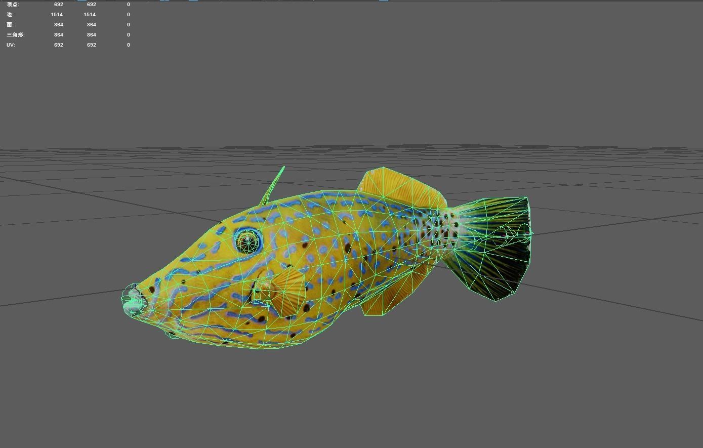 Filefish Low-poly 3D model_2
