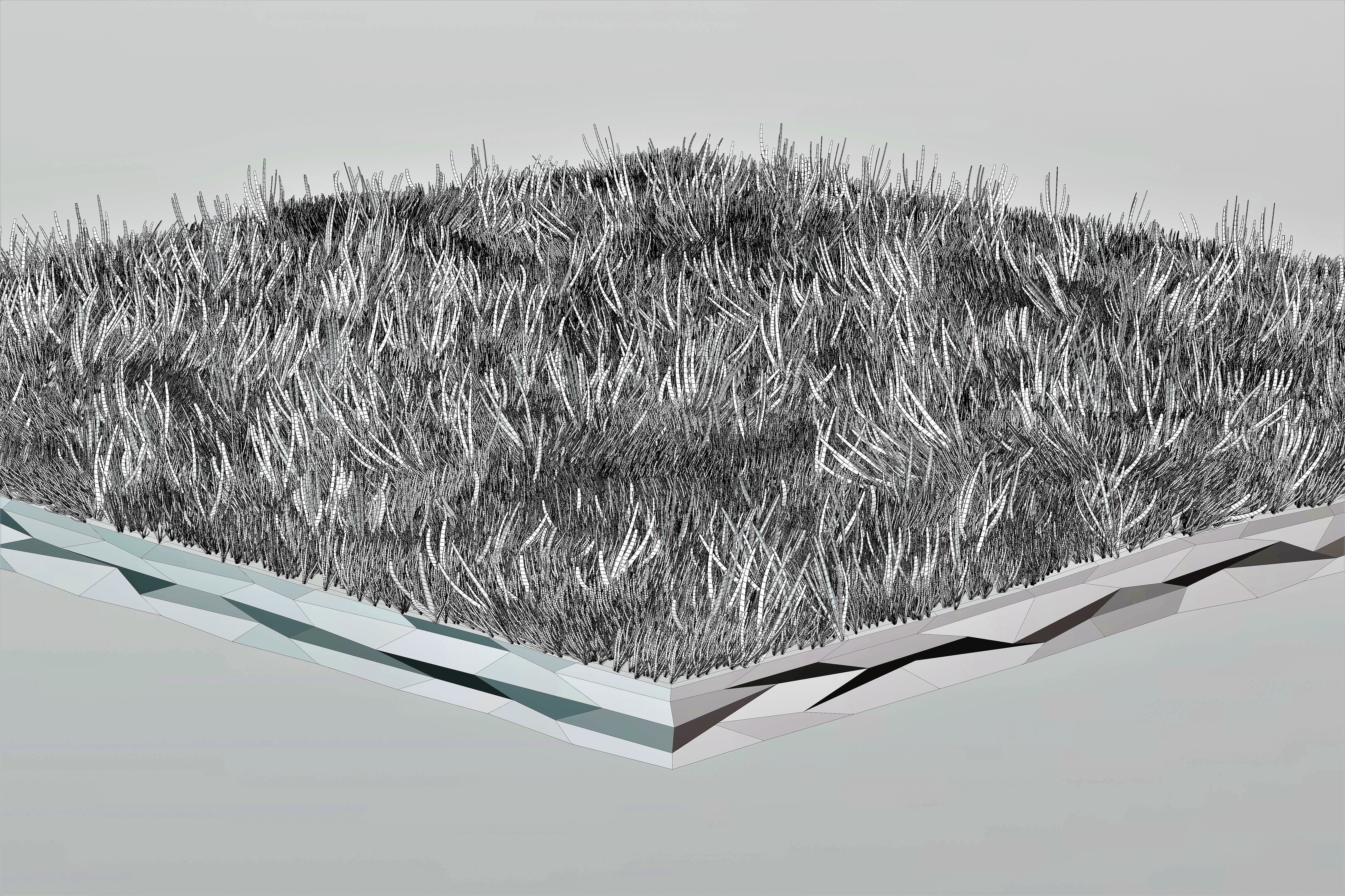 Grass Low Poly Low-poly 3D model_3