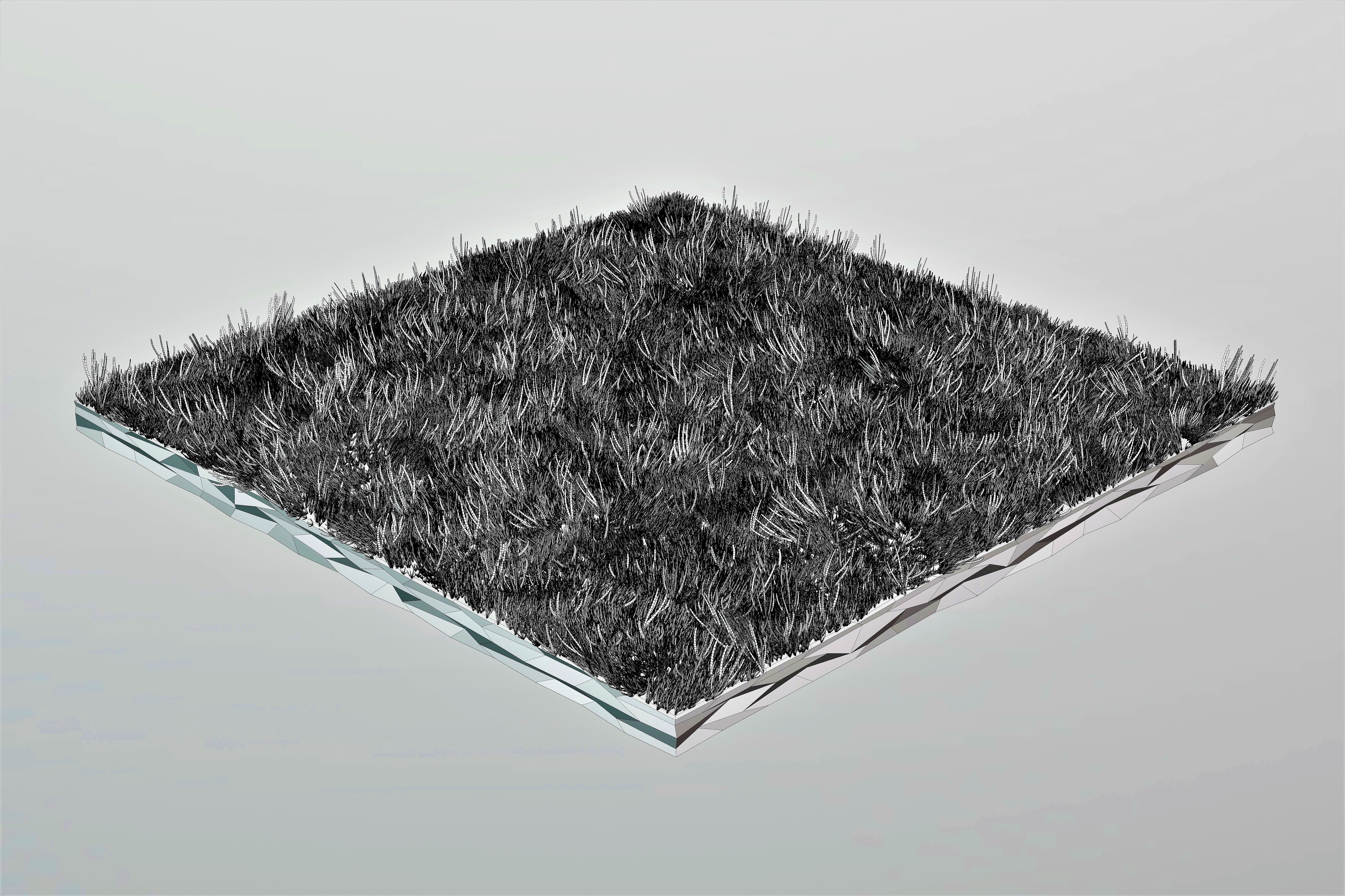 Grass Low Poly Low-poly 3D model_4