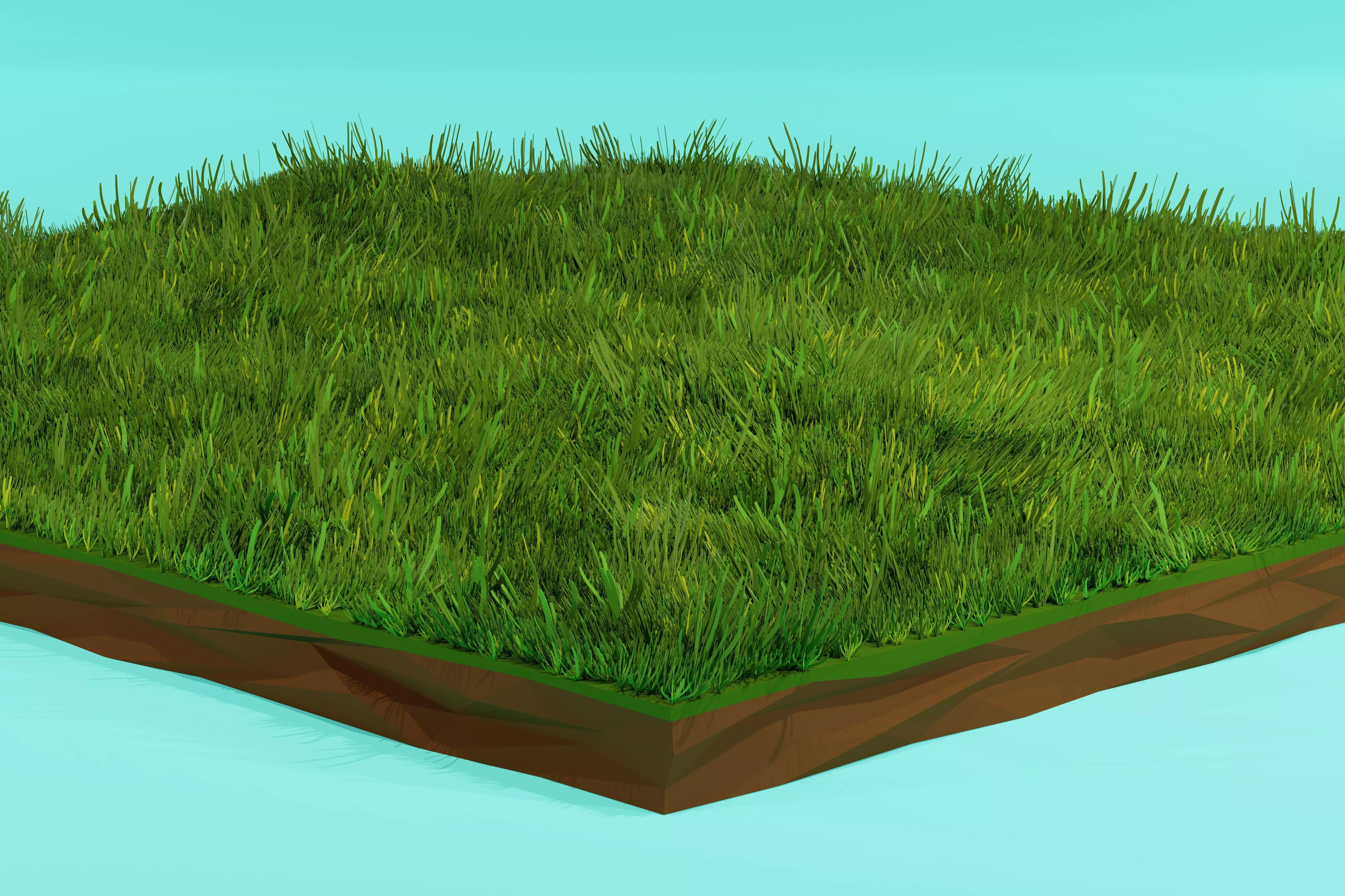 Grass Low Poly Low-poly 3D model_0