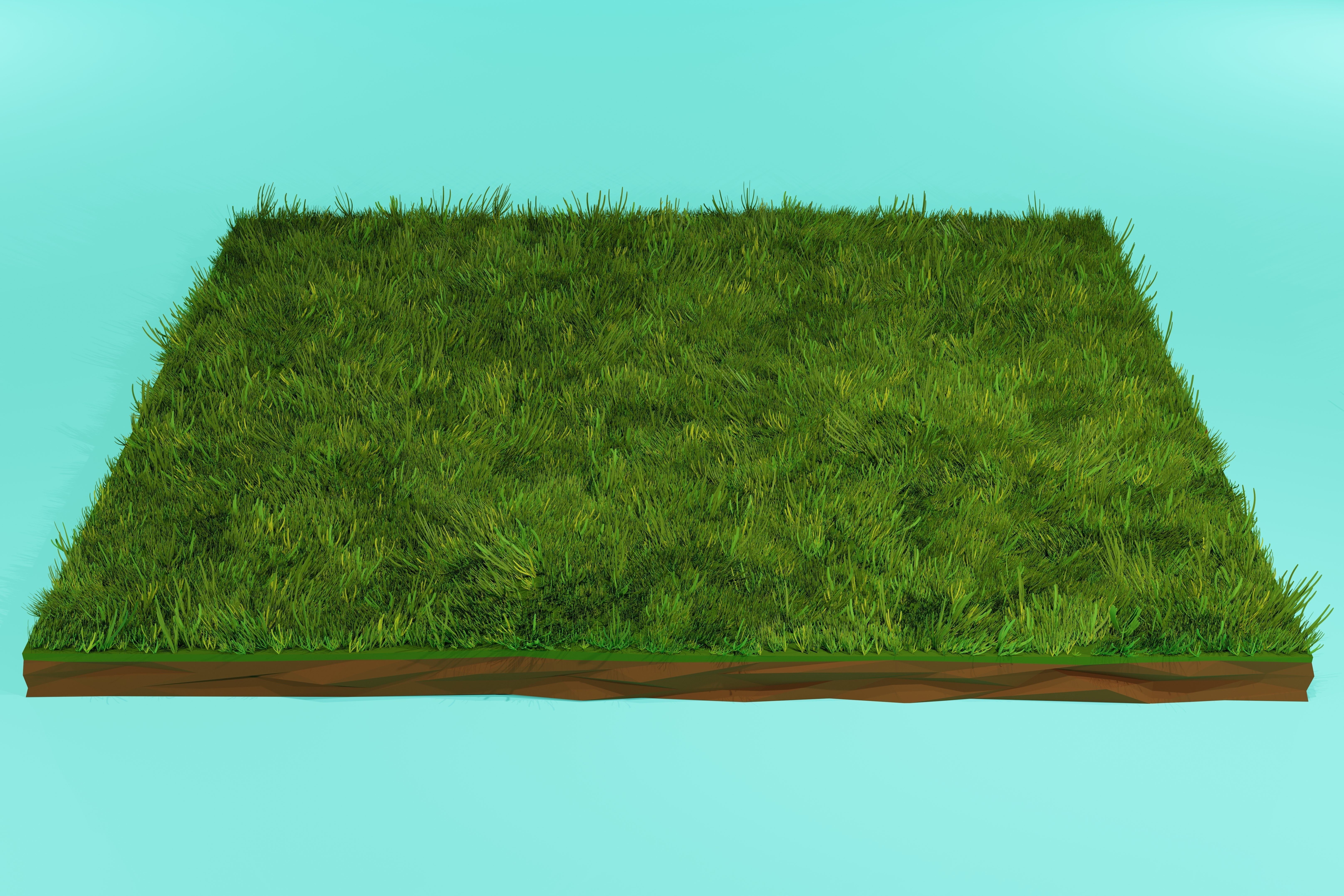Grass Low Poly Low-poly 3D model_2