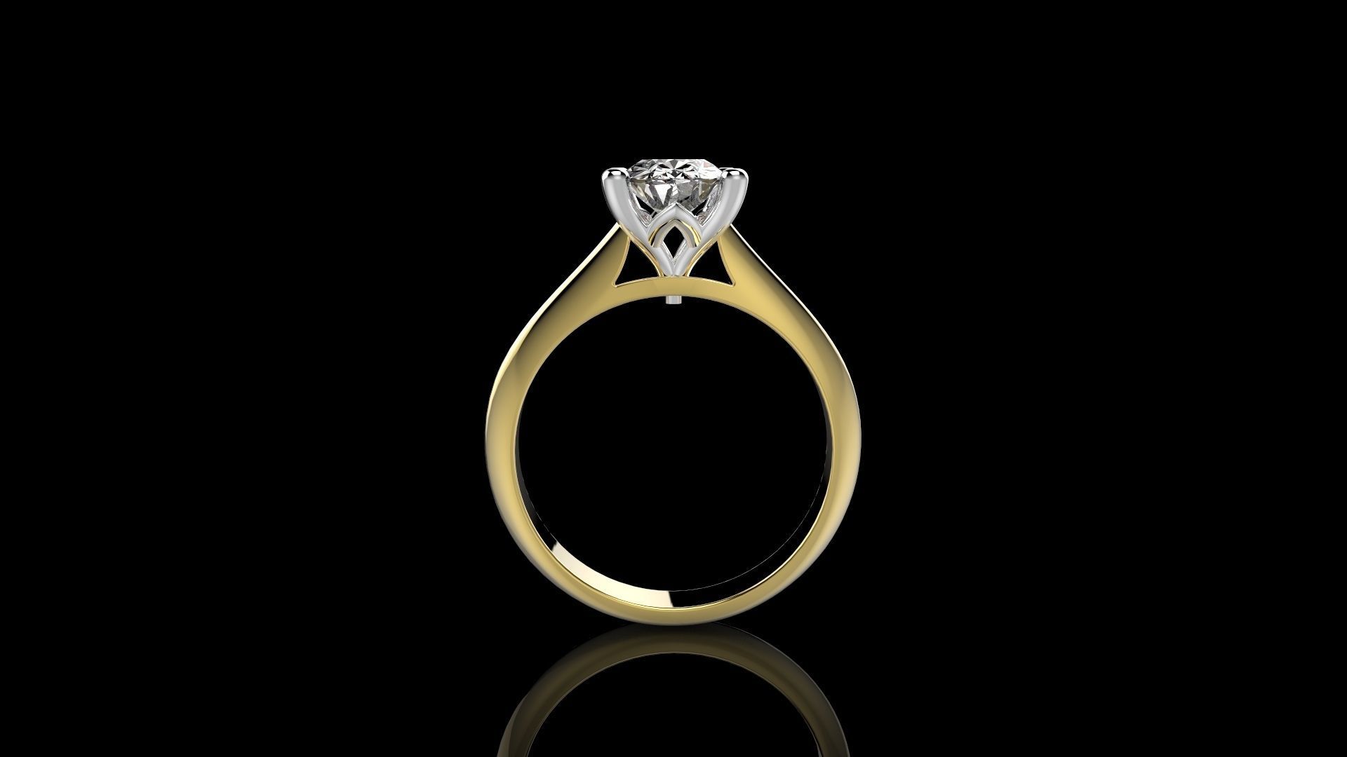 Z RINGS N5 3D print model_1