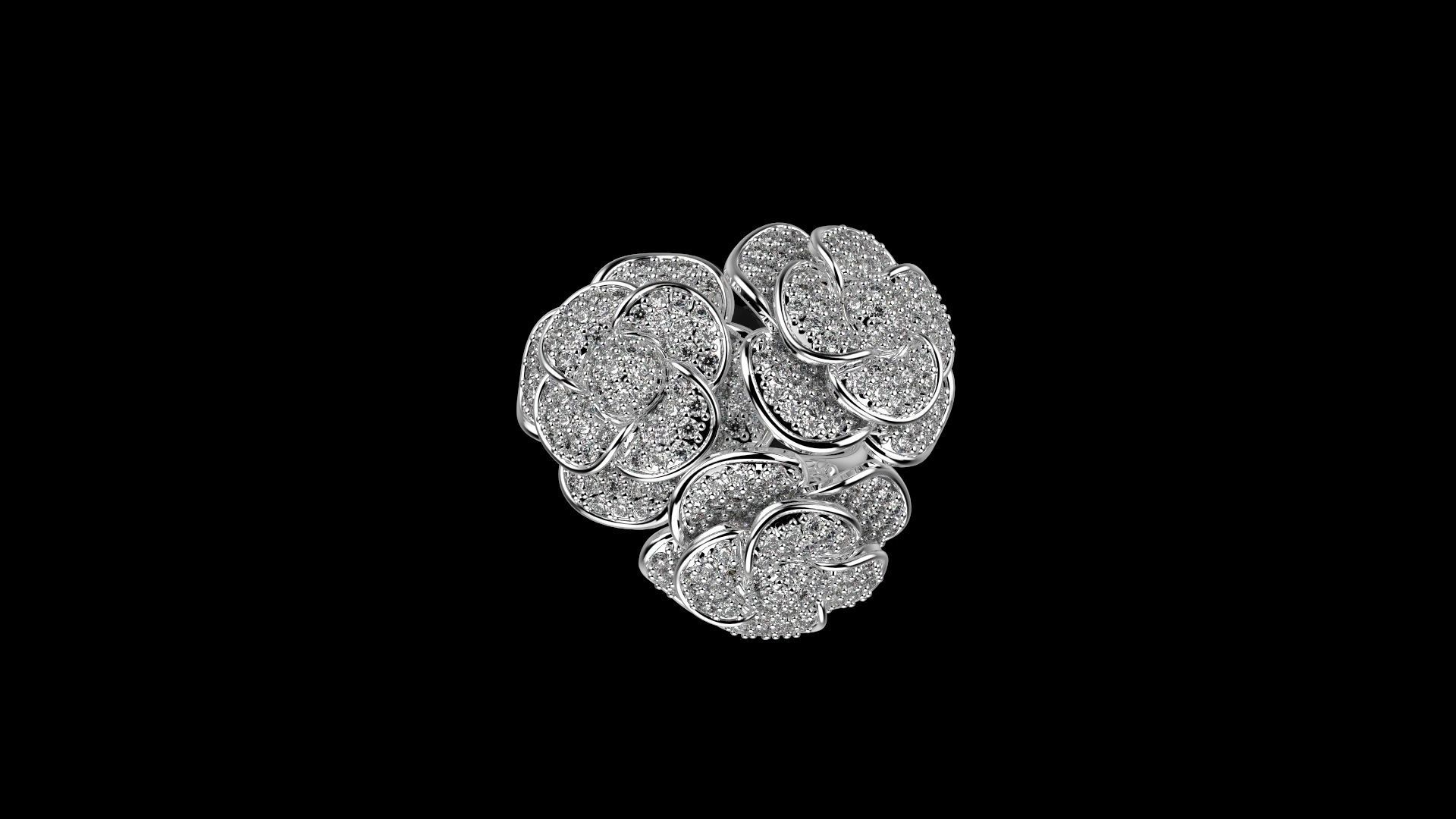 Z RINGS N1 3D print model_3