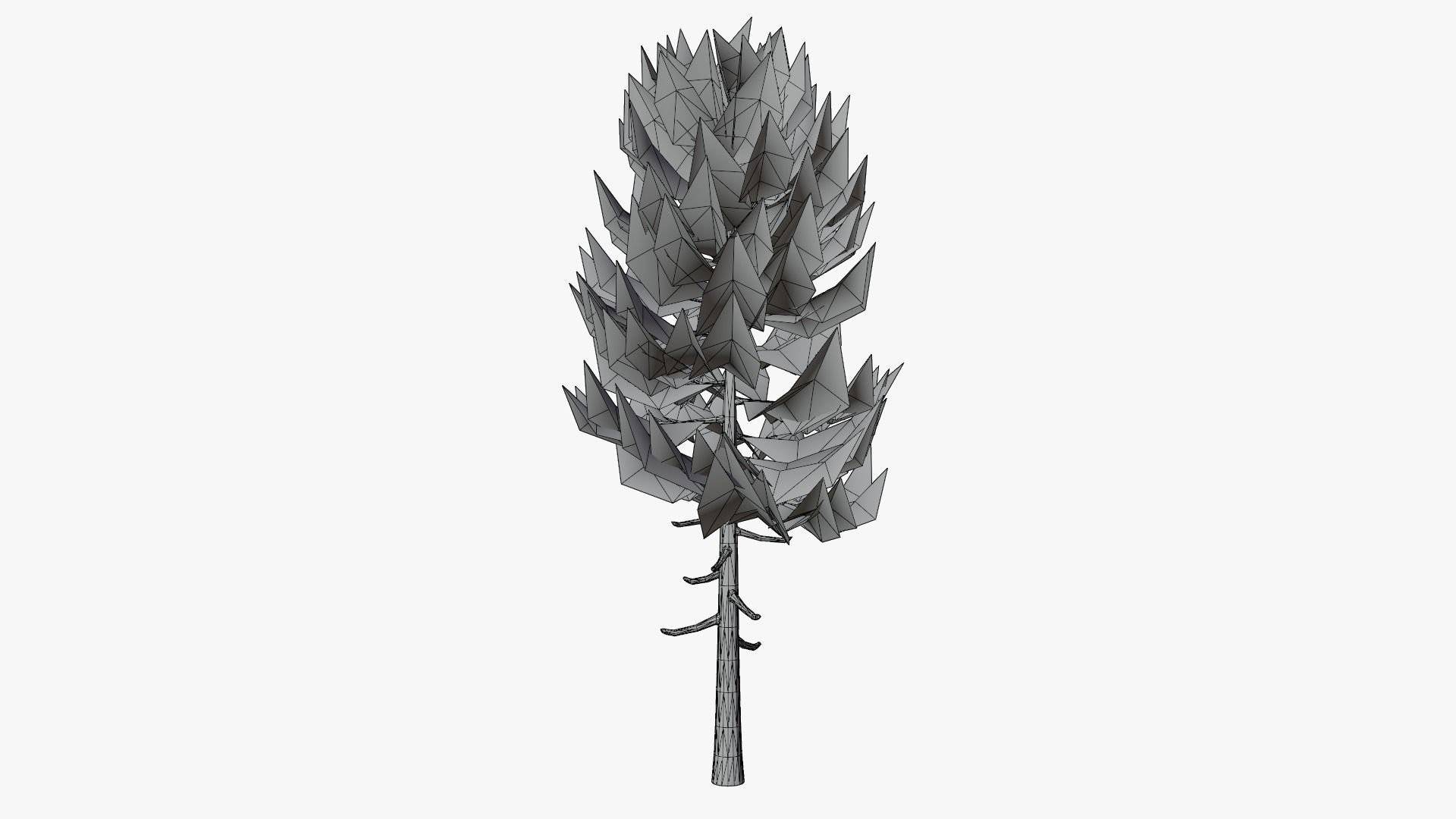 Lowpoly Pine v3 Low-poly 3D model_9