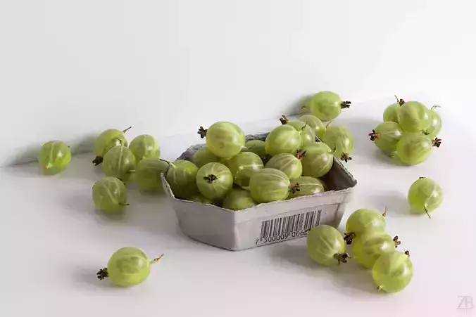 Gooseberry 3D model
