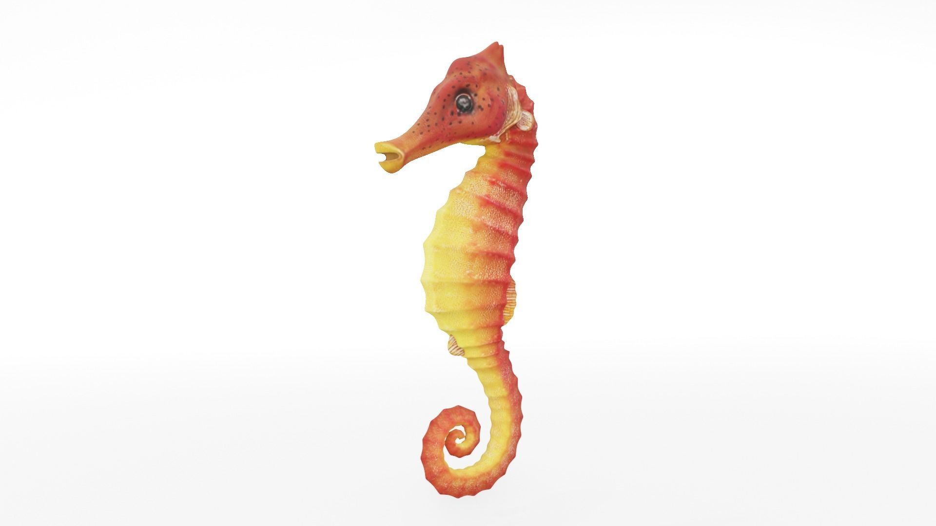 Textured Seahorse Low-poly 3D model_2