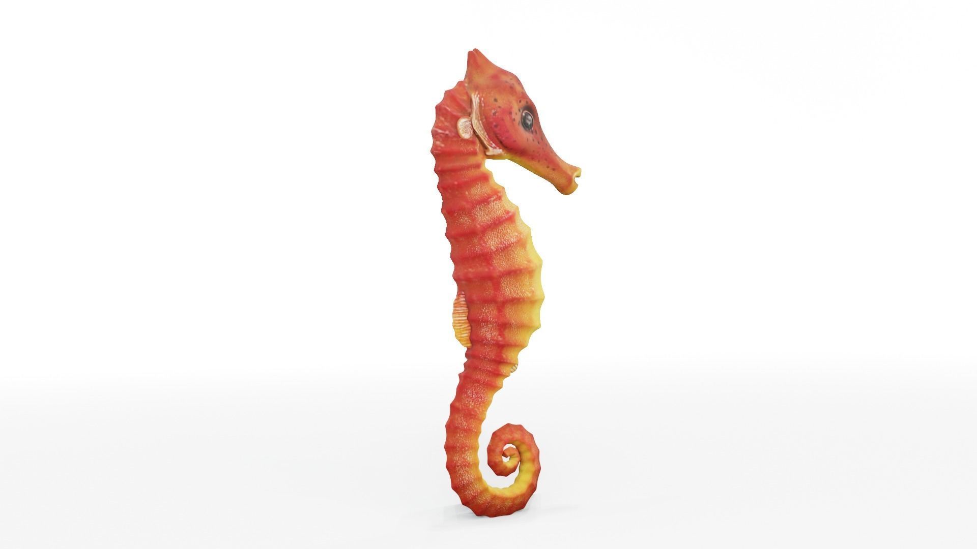 Textured Seahorse Low-poly 3D model_4