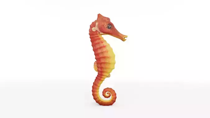 Textured Seahorse  Low-poly 3D model