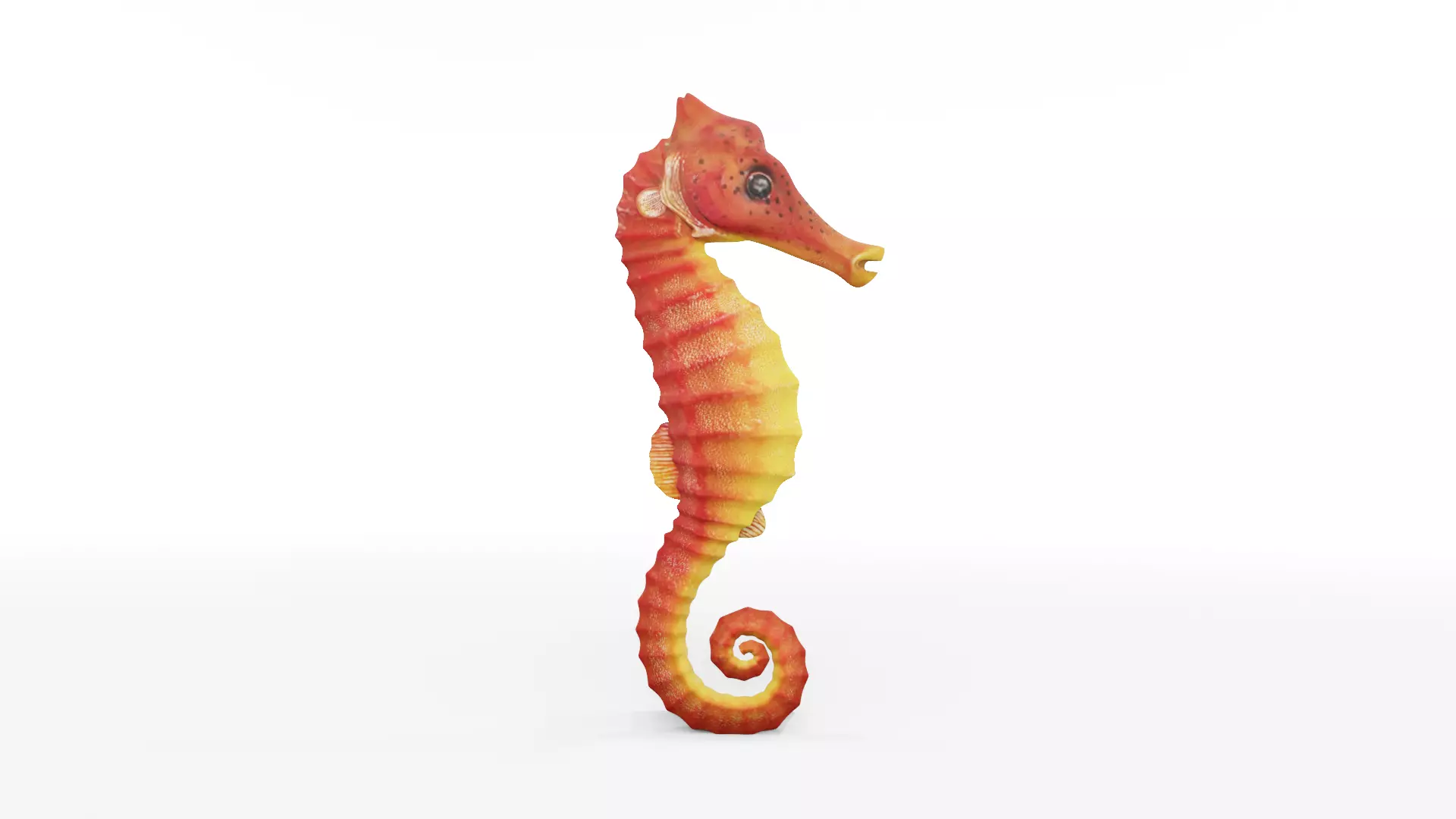 Textured Seahorse Low-poly 3D model_0
