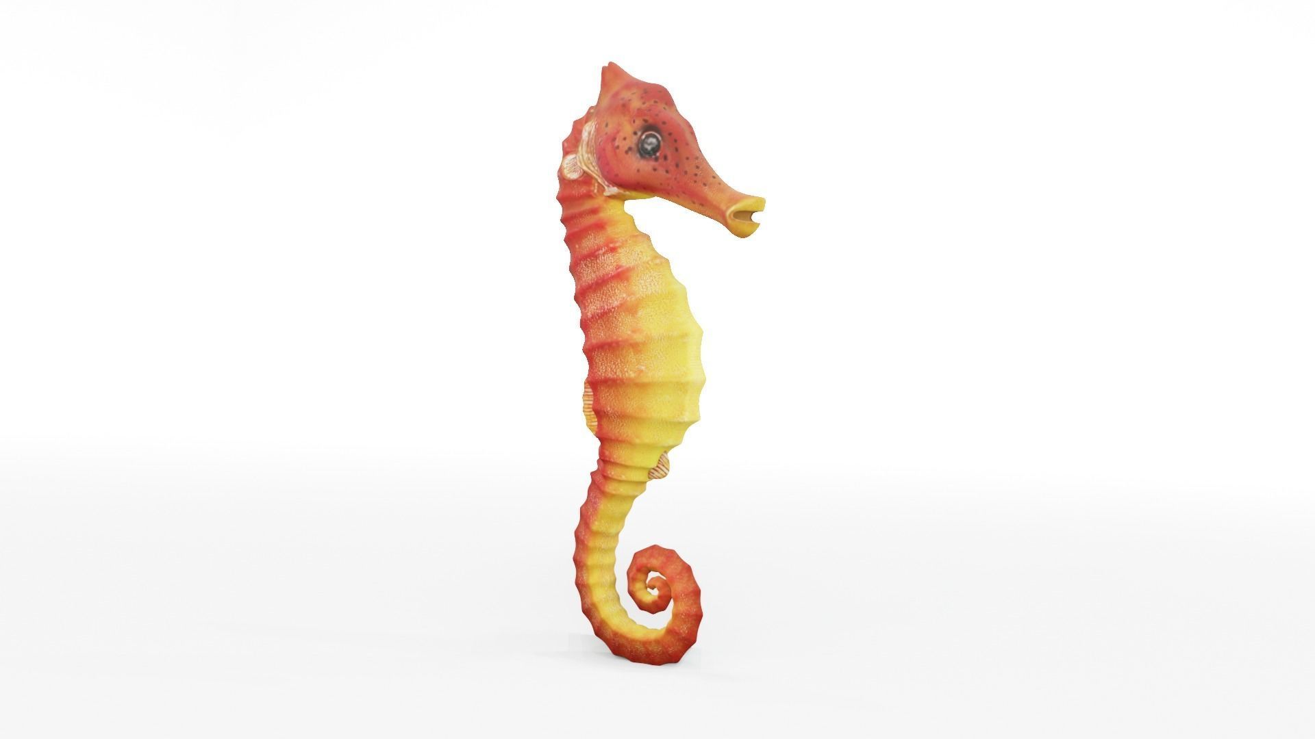 Textured Seahorse Low-poly 3D model_8