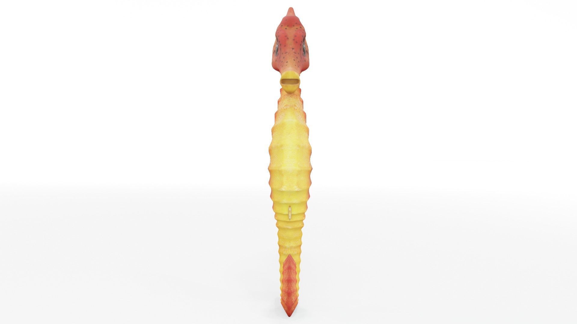 Textured Seahorse Low-poly 3D model_3